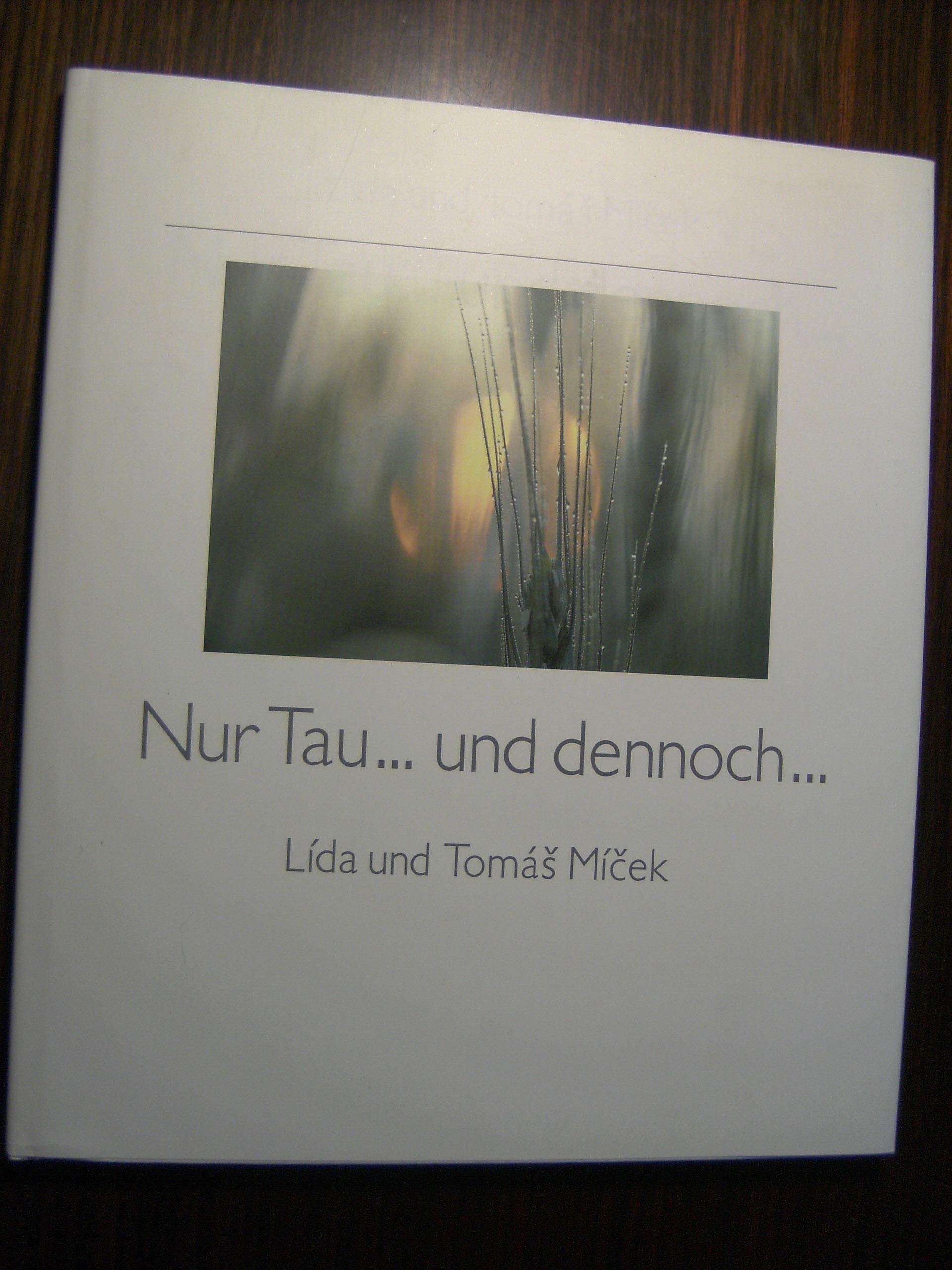 Nur Tau... und dennoch... Photography
