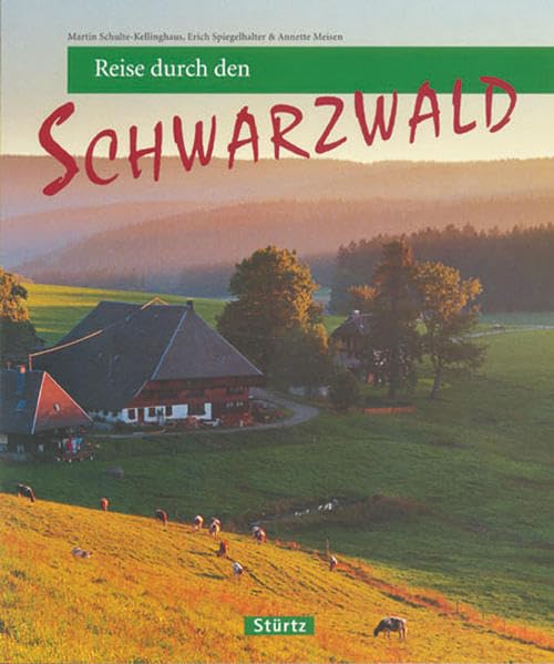 Reise durch den Schwarzwald Business, Finance & Career Books