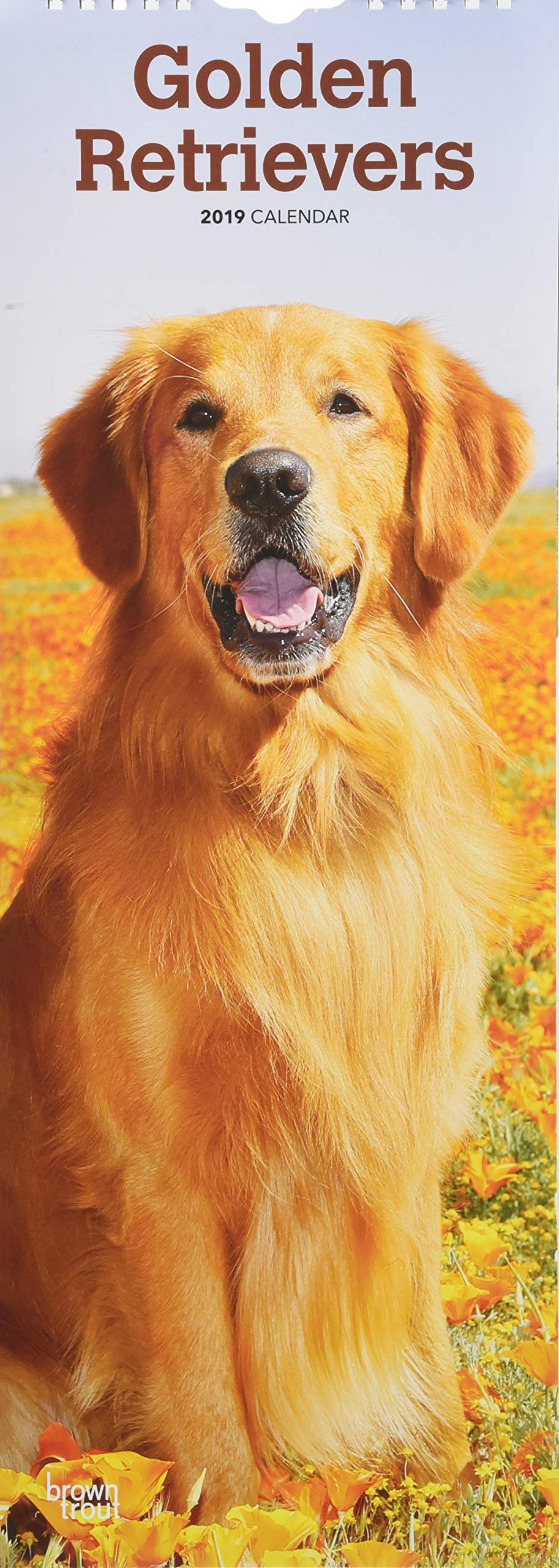 Golden Retrievers 2019 (Slimline-Kalender) Pets