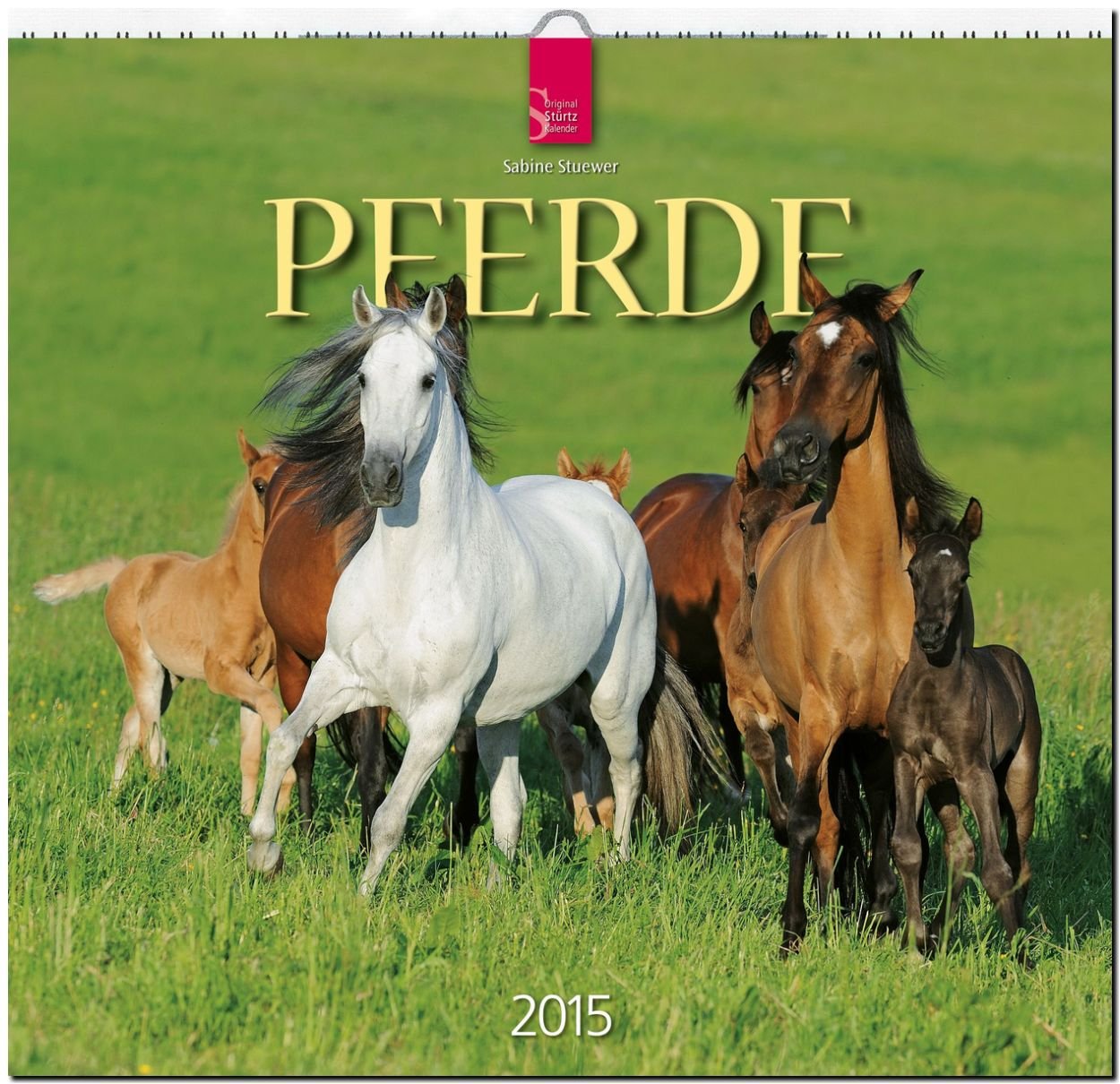 Pferde 2015 - Original Stürtz-Kalender - Mittelformat-Kalender 33 x 31 cm Pets
