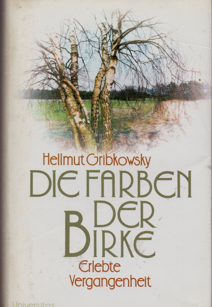 Die Farben der Birke: Erlebte Vergangenheit Politics & History