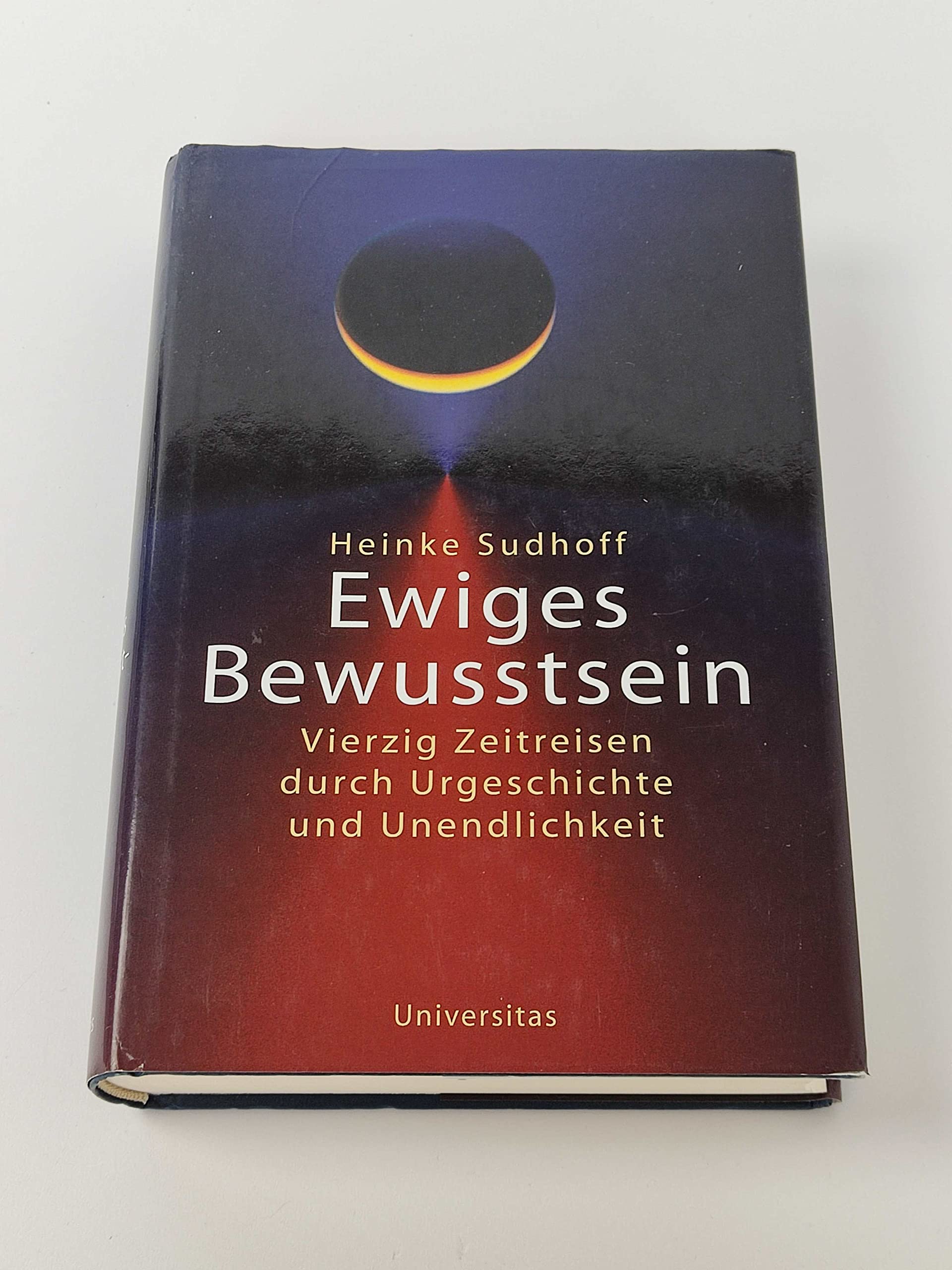 Ewiges Bewusstsein: Vierzig Zeitreisen durch Urgeschichte und Unendlichkeit Business & Technology
