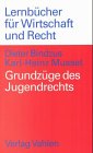 Grundzüge des Jugendrechts: Lernbuch für Ausbildung und Praxis Law