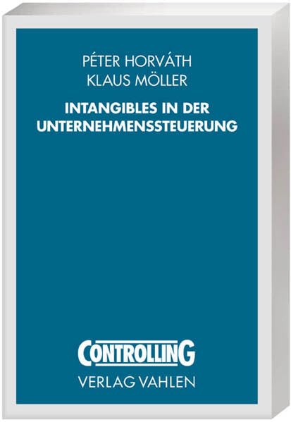 Intangibles in der Unternehmenssteuerung Law