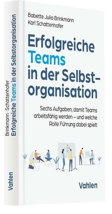 Erfolgreiche Teams in der Selbstorganisation: Sechs Aufgaben, damit Teams arbeitsfähig werden - und welche Rolle Führung dabei spielt Law