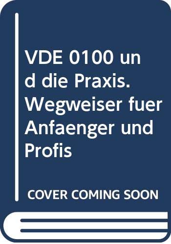 VDE 0100 und die Praxis. Wegweiser für Anfänger und Profis Business & Technology