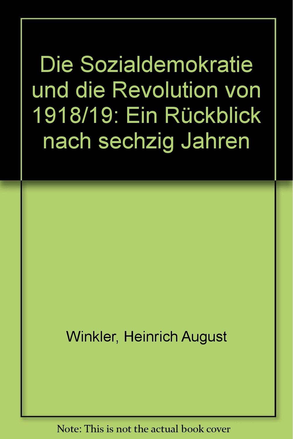 Die Sozialdemokratie und die Revolution von 1918/19: Ein Rückblick nach sechzig Jahren German history