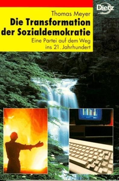 Die Transformation der Sozialdemokratie: Eine Partei auf dem Weg ins 21. Jahrhundert (Politik im Taschenbuch) Politics & History