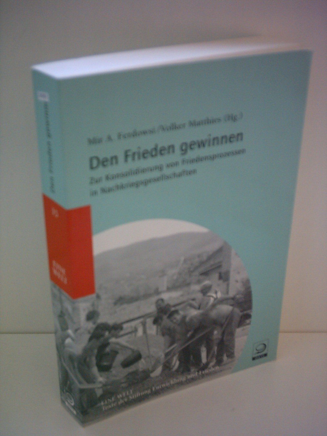 Den Frieden gewinnen: Zur Konsolidierung von Friedensprozessen in Nachkriegsgesellschaften (Reihe EINE Welt: Texte der Stiftung Entwicklung und Frieden) Law