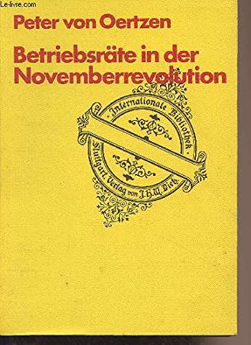 Betriebsräte in der Novemberrevolution. Eine politikwissenschaftliche Untersuchung über Ideengehalt und Struktur der betrieblichen und wirtschaftlichen Arbeiterräte in der deutschen Revolution 1918/19 German history