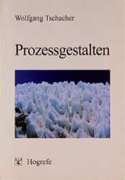 Prozessgestalten: Die Anwendung der Selbstorganisationstheorie und der Theorie dynamischer Systeme auf Probleme der Psychologie Psychology