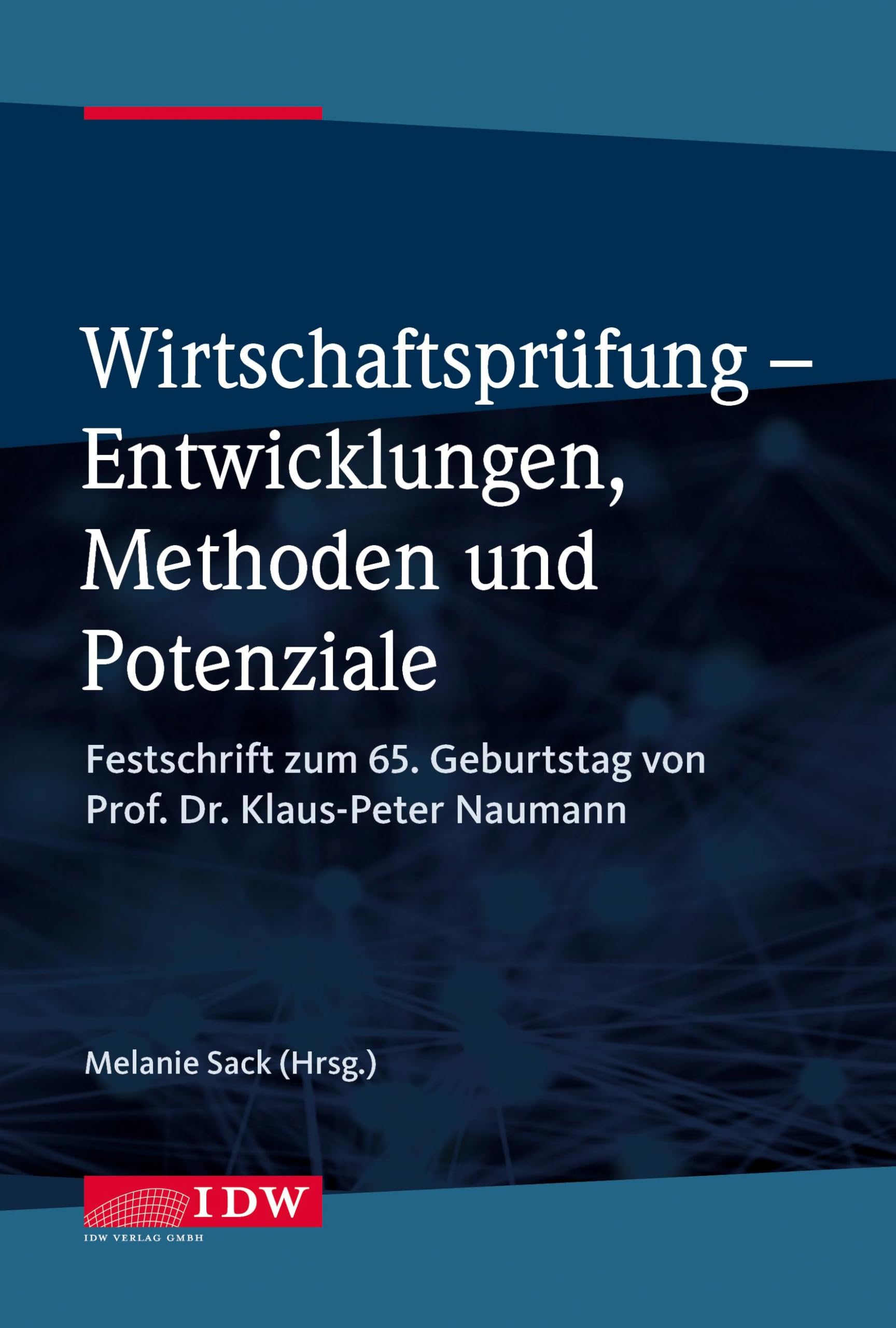 Wirtschaftsprüfung - Entwicklungen, Methoden und Potenziale Law
