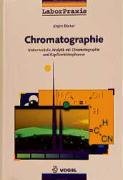Chromatographie: Instrumentelle Analytik mit Chromatographie und Kapillarelektrophorese (LaborPraxis) Business, Finance & Career