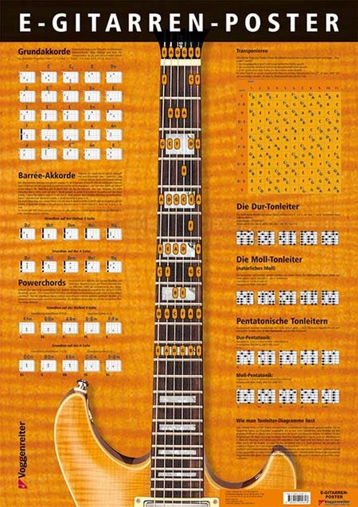E-Gitarren-Poster: Alles Wichtige für den E-Gitarristen im übersichtlichen Grossformat!: Alles was der (E-)Gitarrist wissen sollte! book