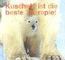 Mitten ins Herz - Hundkatzemaus. Kuscheln ist die beste Therapie. Film, Art & Culture