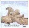 Love Notes. Thank you for being a friend (mit CD) Books