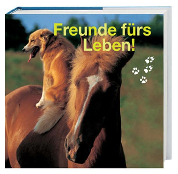 Freunde fürs Leben! (Mitten ins Herz) Lifestyle