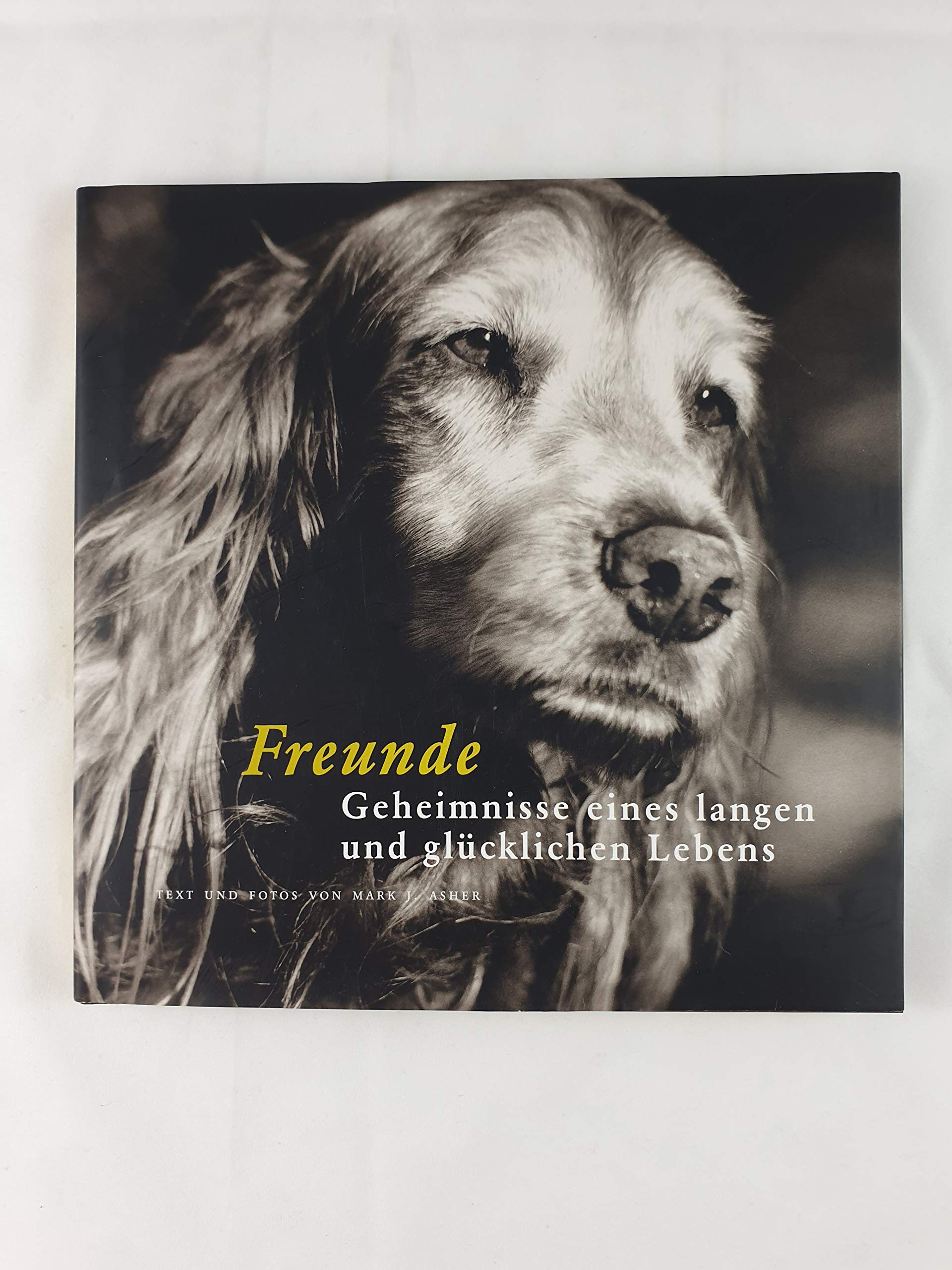 Freunde: Geheimnisse eines langen und glücklichen Lebens Books