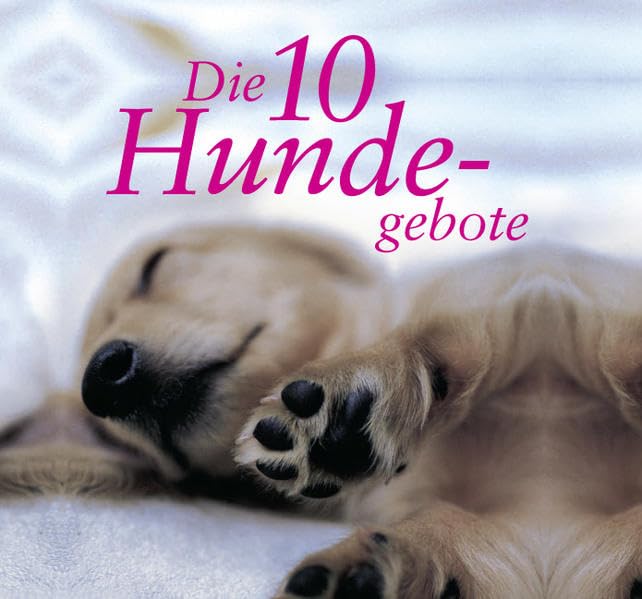 Die 10 Hundegebote Lifestyle