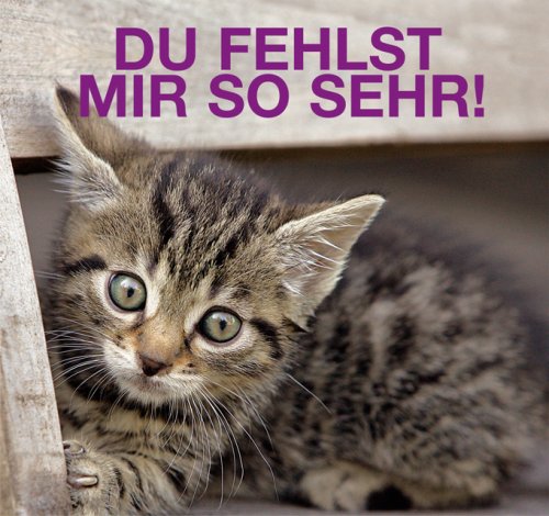 Du fehlst mir so sehr! Lifestyle