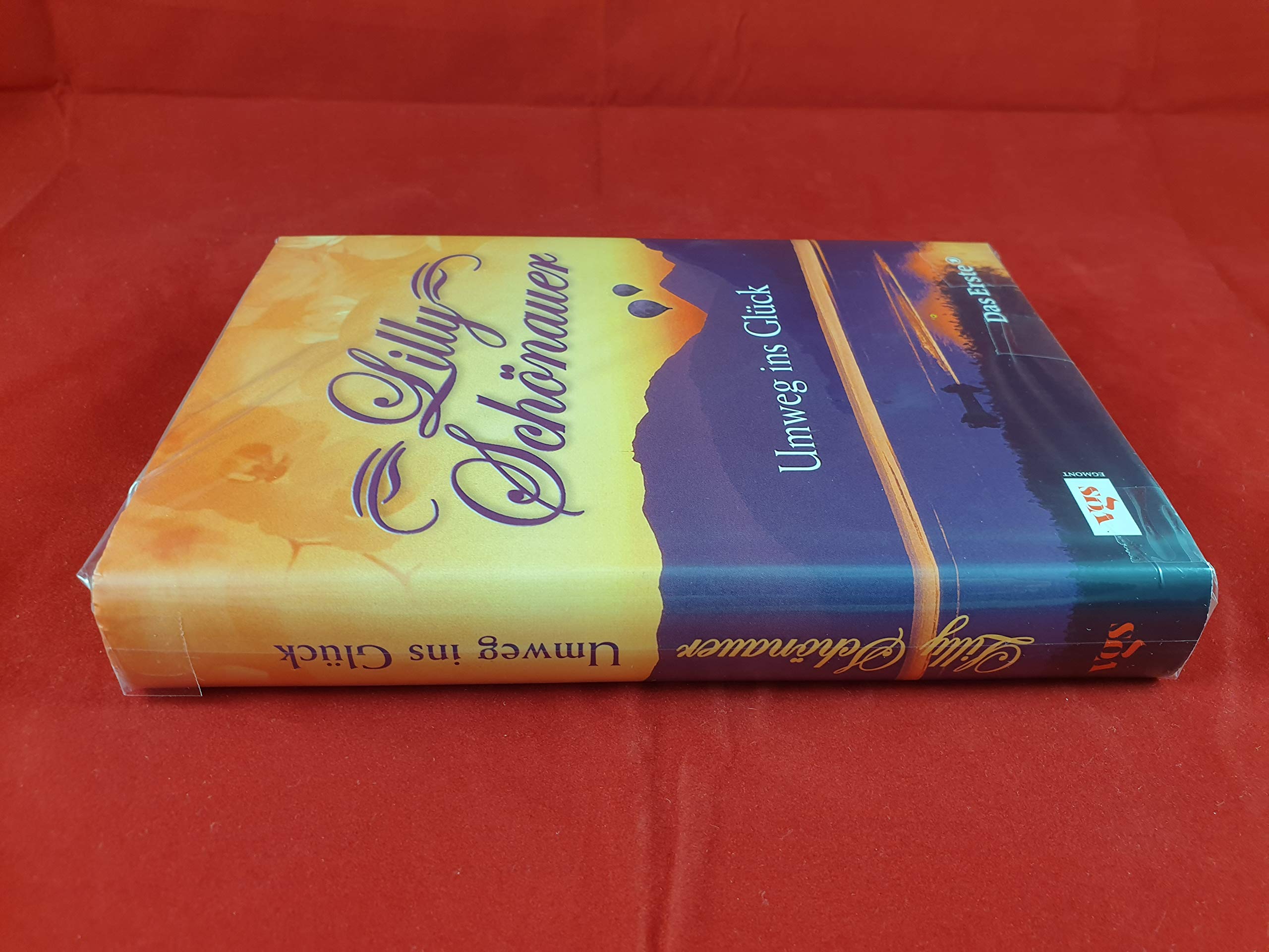 Lilly Schönauer: Umweg ins Glück Books