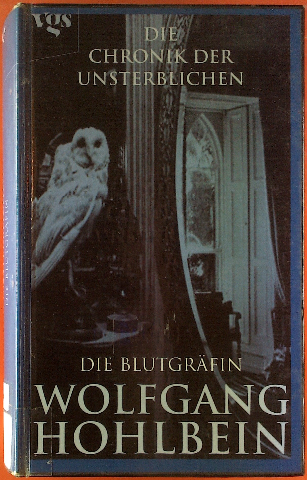 Die Chronik der Unsterblichen 06. Die Blutgräfin Contemporary literature