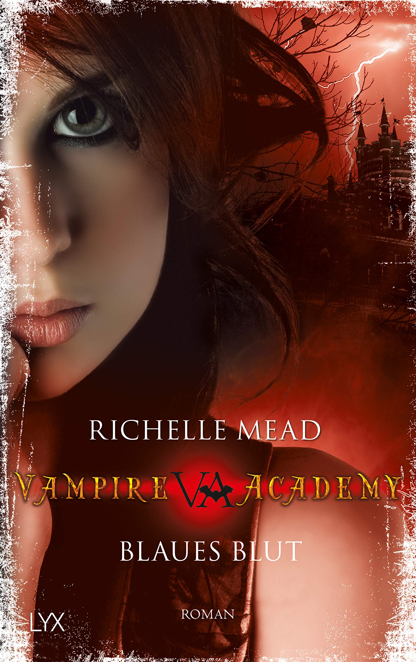 Product Image: Vampire Academy 02