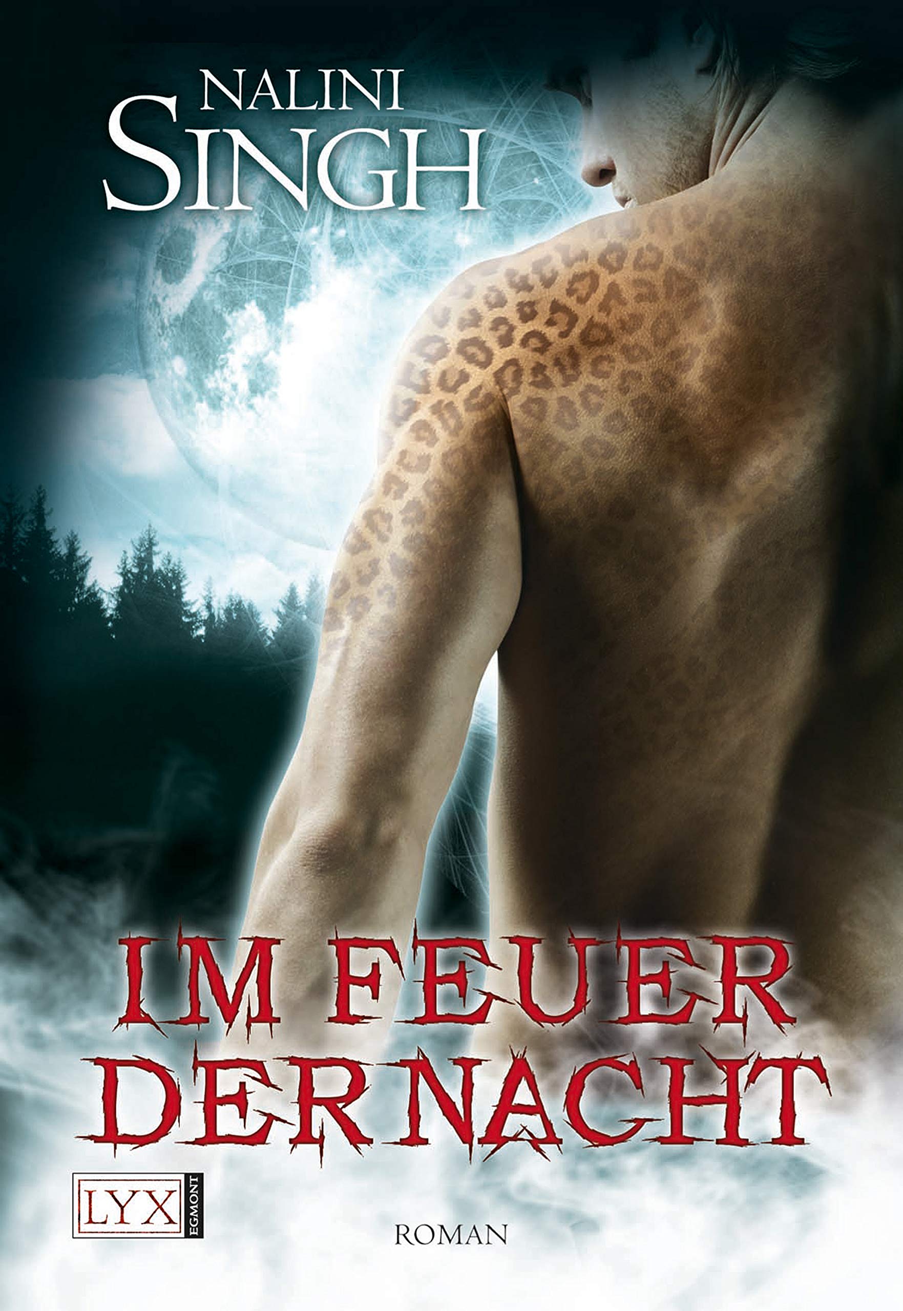 Product Image: Im Feuer der Nacht
