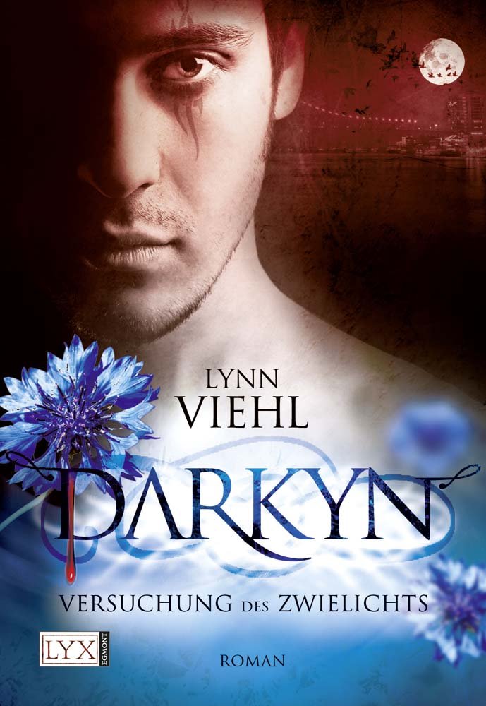Darkyn 01. Versuchung des Zwielichts Contemporary literature