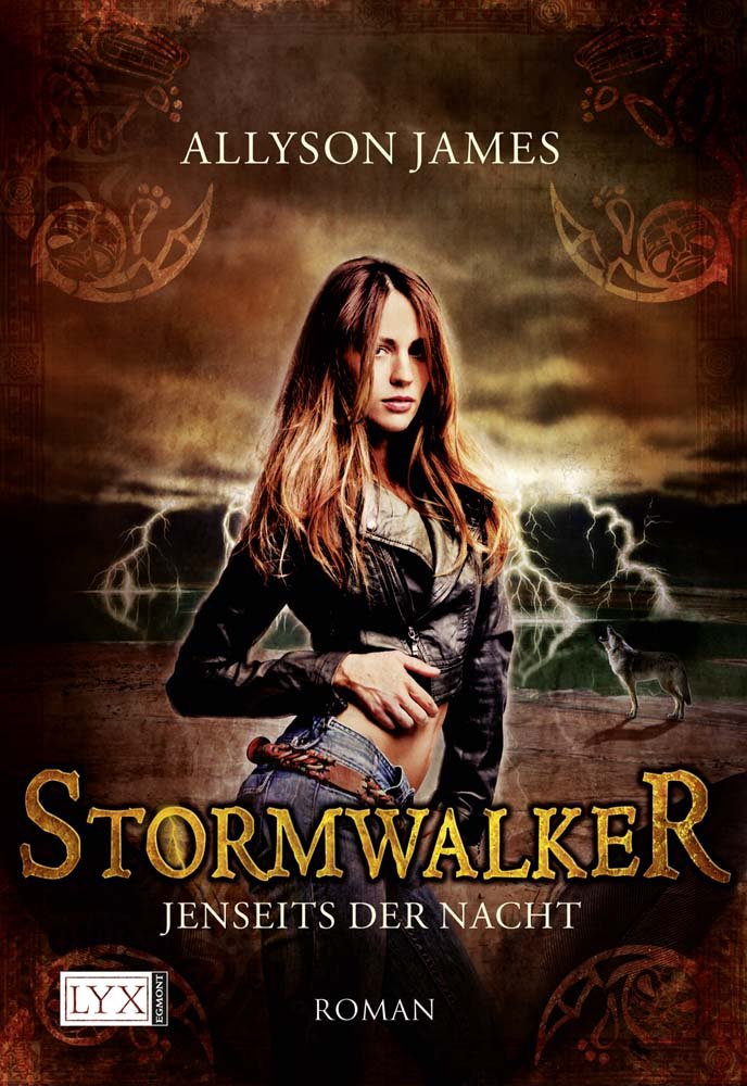 Stormwalker: Jenseits der Nacht: Roman, Deutsche Erstausgabe Contemporary literature