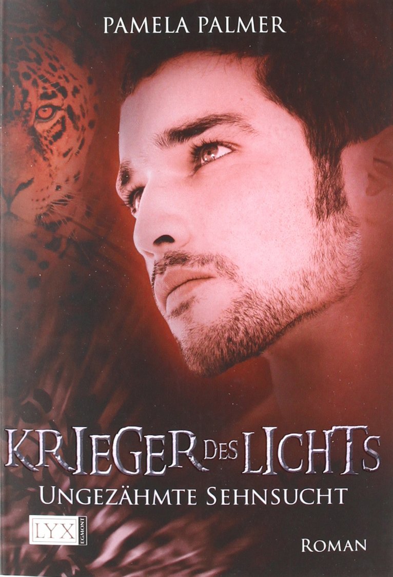 Krieger des Lichts 04. Ungezähmte Sehnsucht Contemporary literature