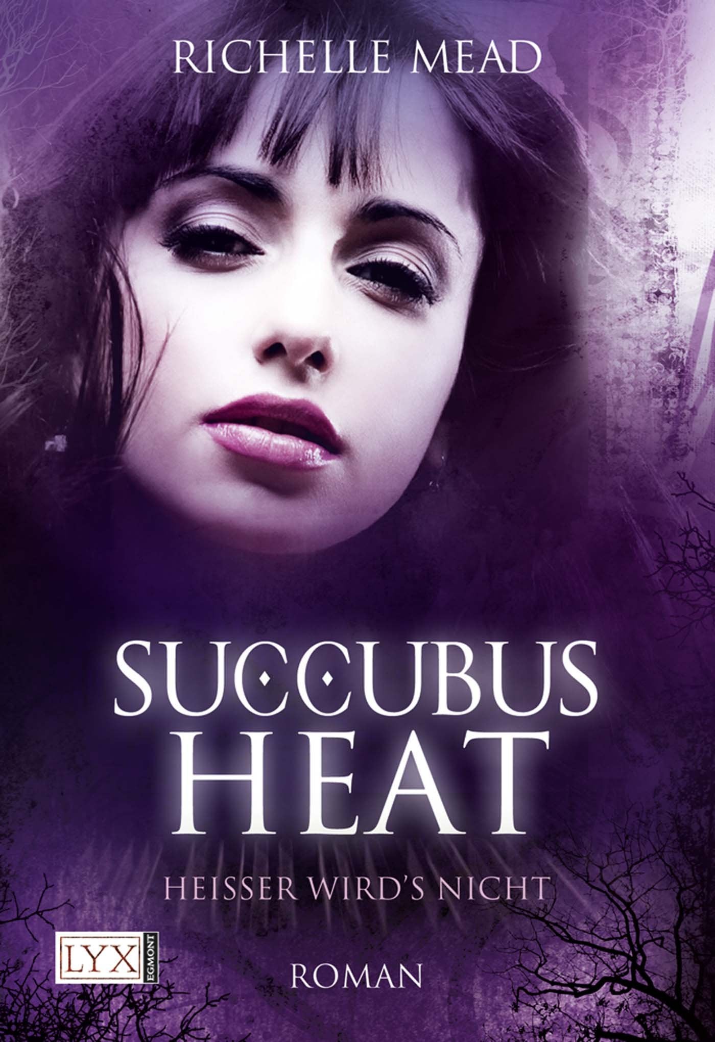 Succubus Heat: Heißer wird’s nicht Contemporary literature