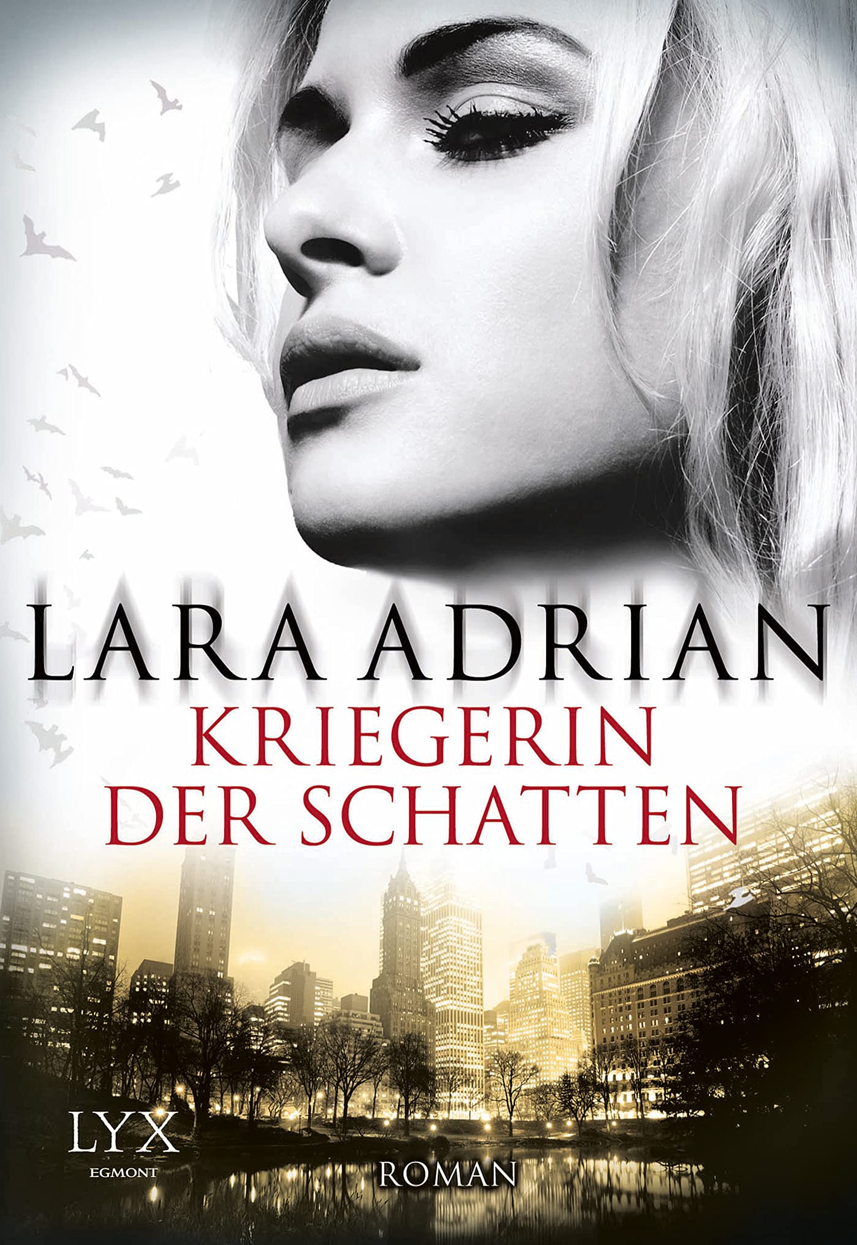 Kriegerin der Schatten Contemporary literature Books