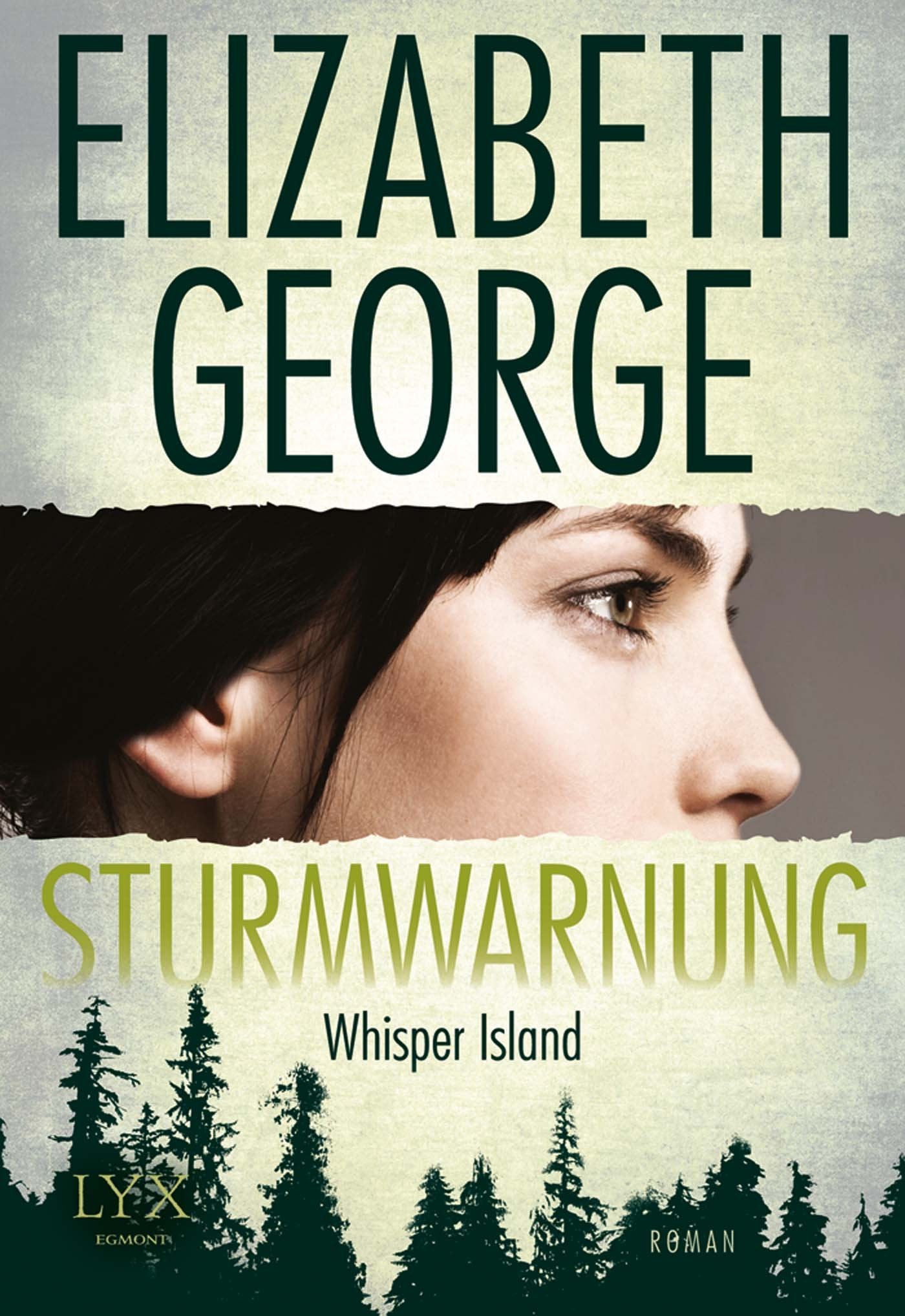 Sturmwarnung Contemporary literature Books