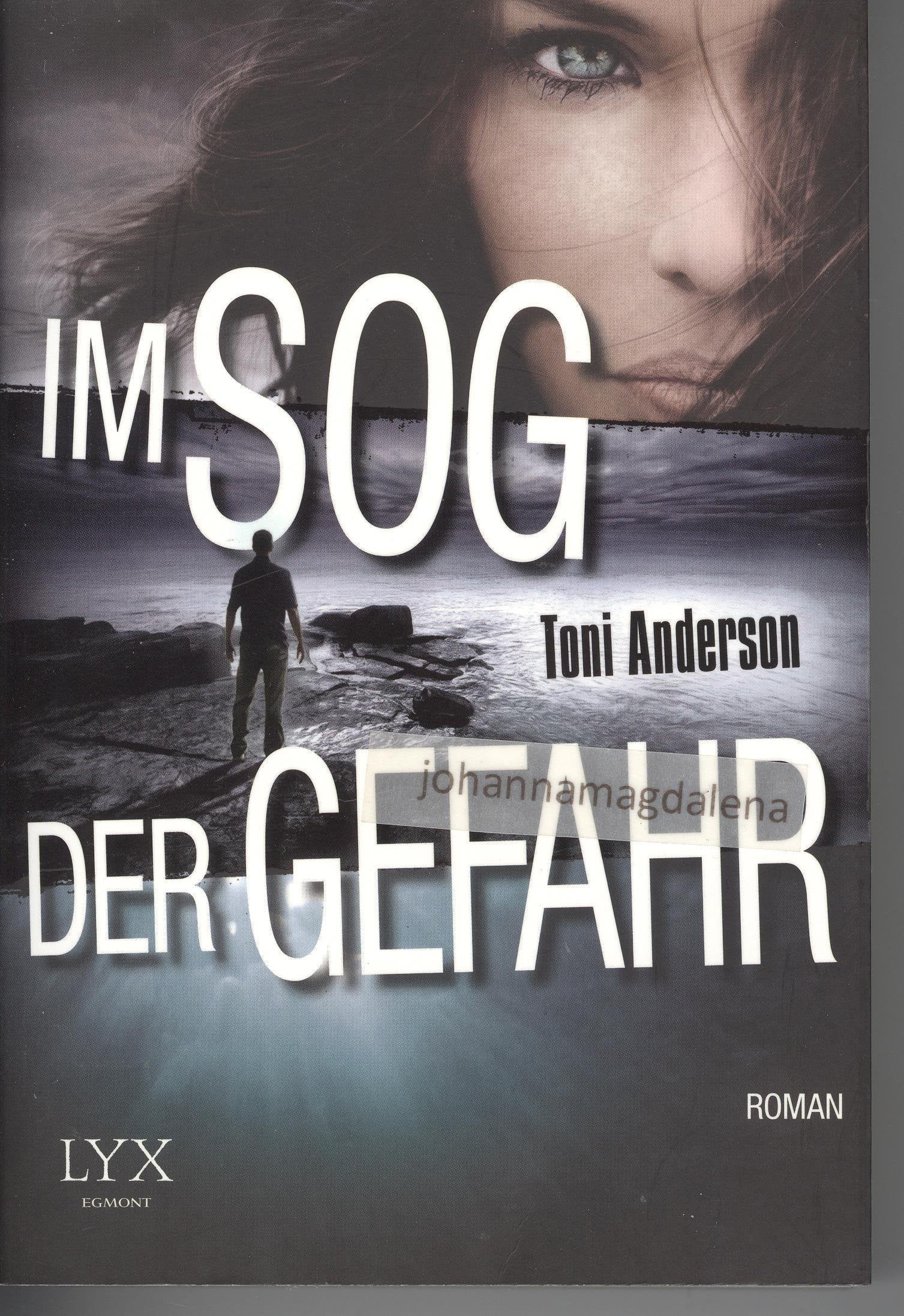 Im Sog der Gefahr Contemporary literature