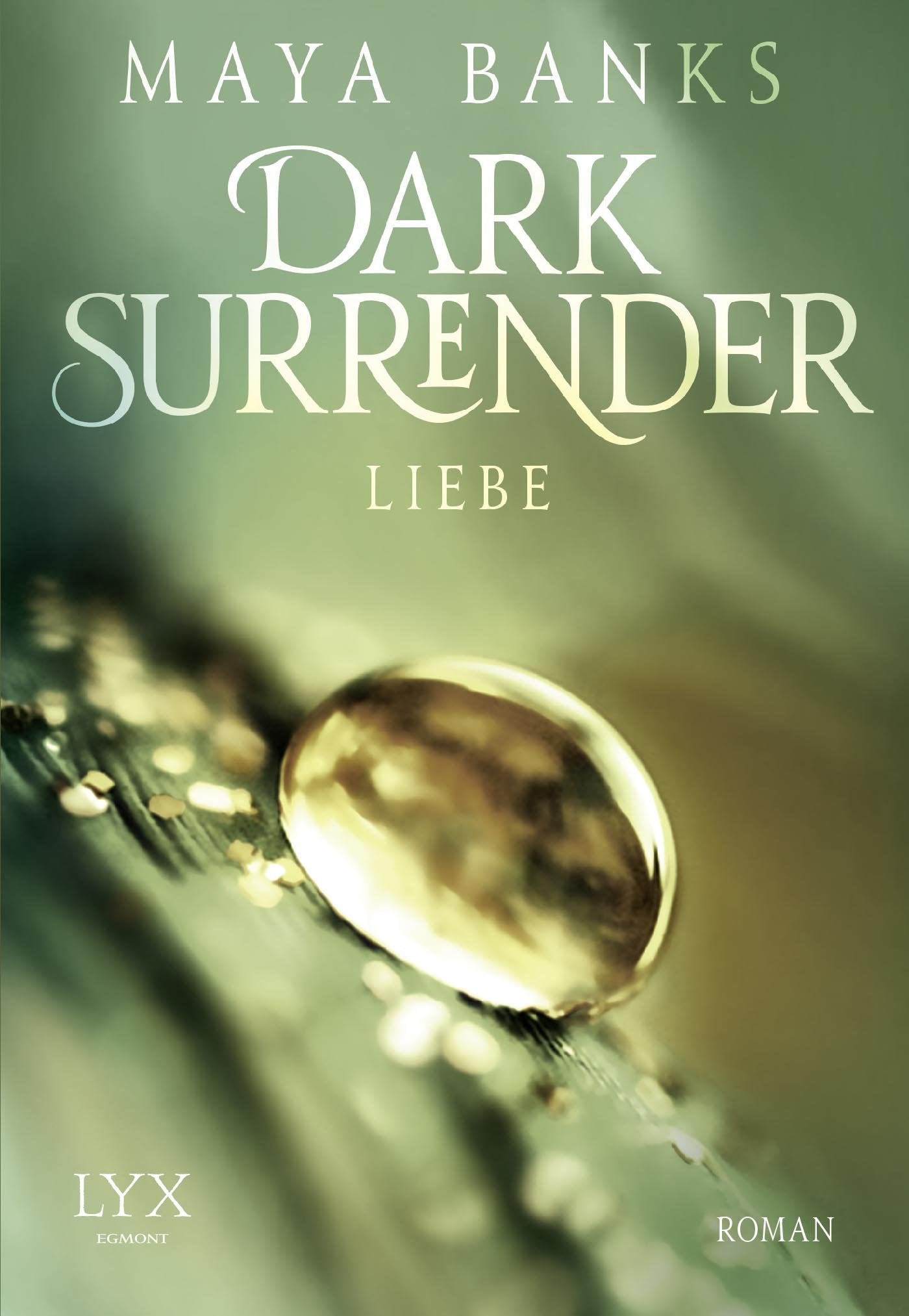 Dark Surrender 03 - Liebe Contemporary literature Books