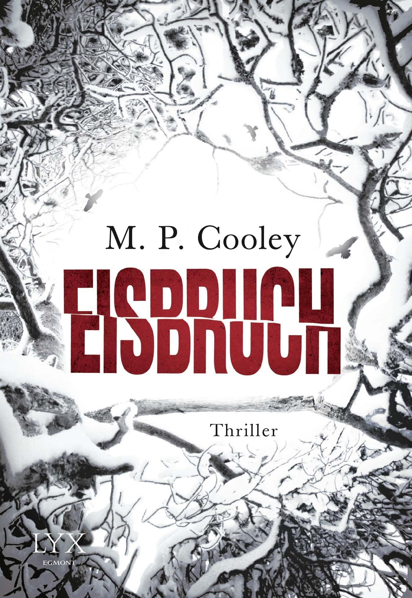 Eisbruch Contemporary literature Books