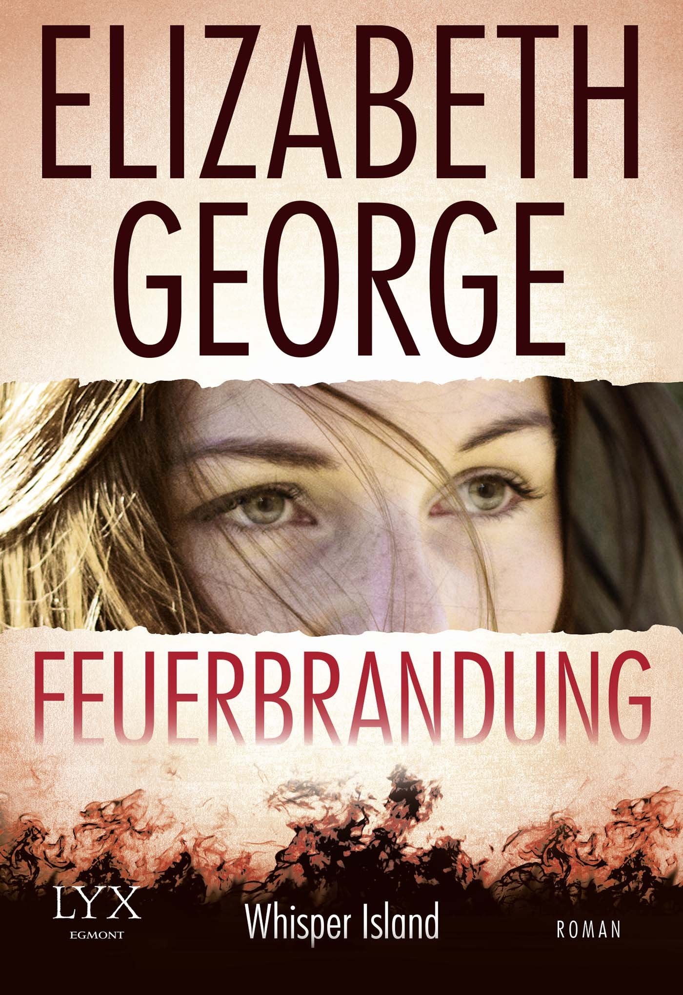 Feuerbrandung Contemporary literature Books