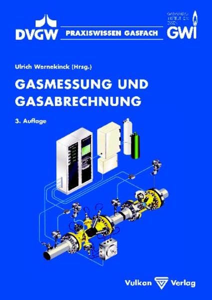 Gasmessung und Gasabrechnung (Praxiswissen Gasfach) Business & Technology
