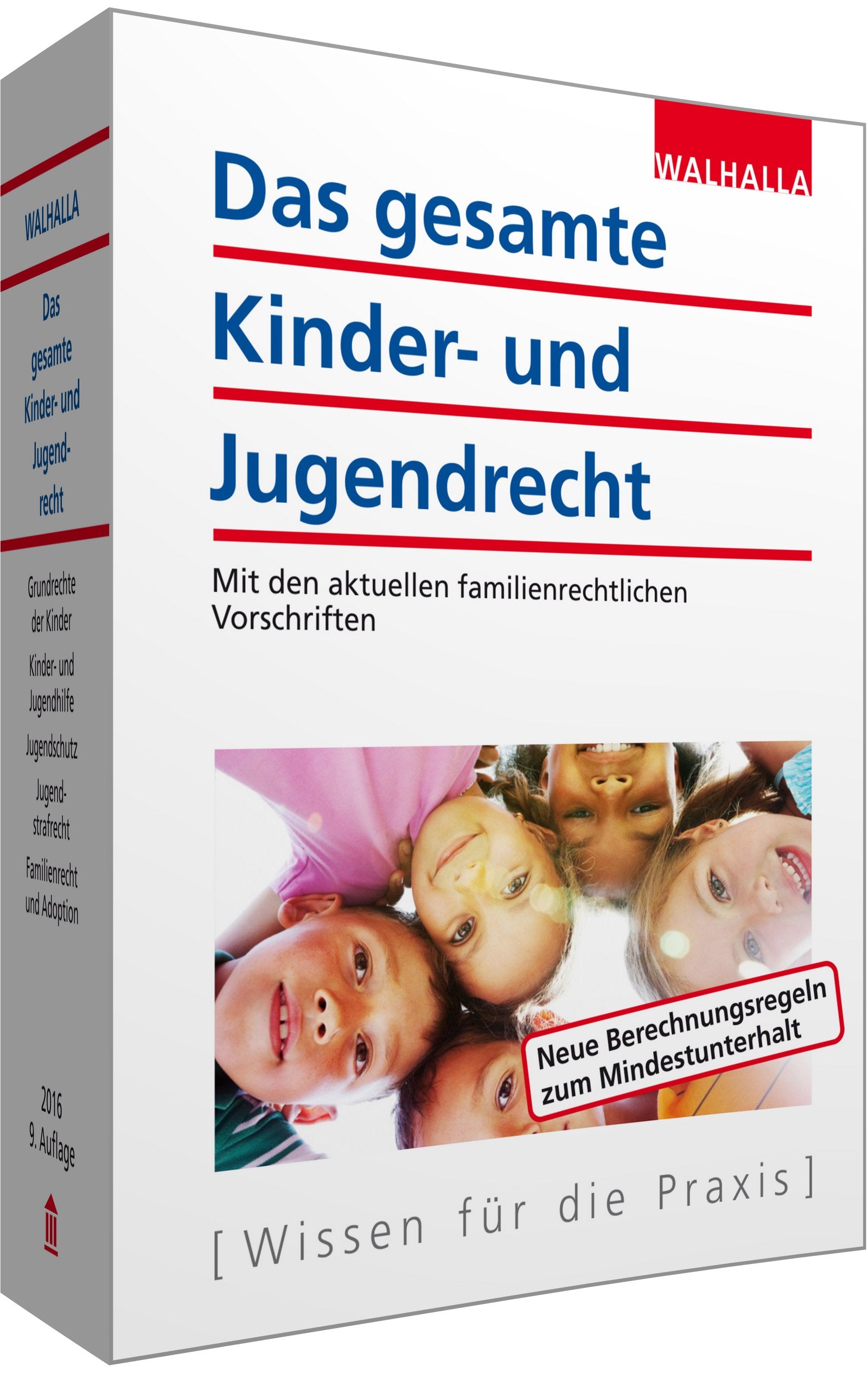 Das gesamte Kinder- und Jugendrecht: Ausgabe 2016; Mit den aktuellen familienrechtlichen Vorschriften Law
