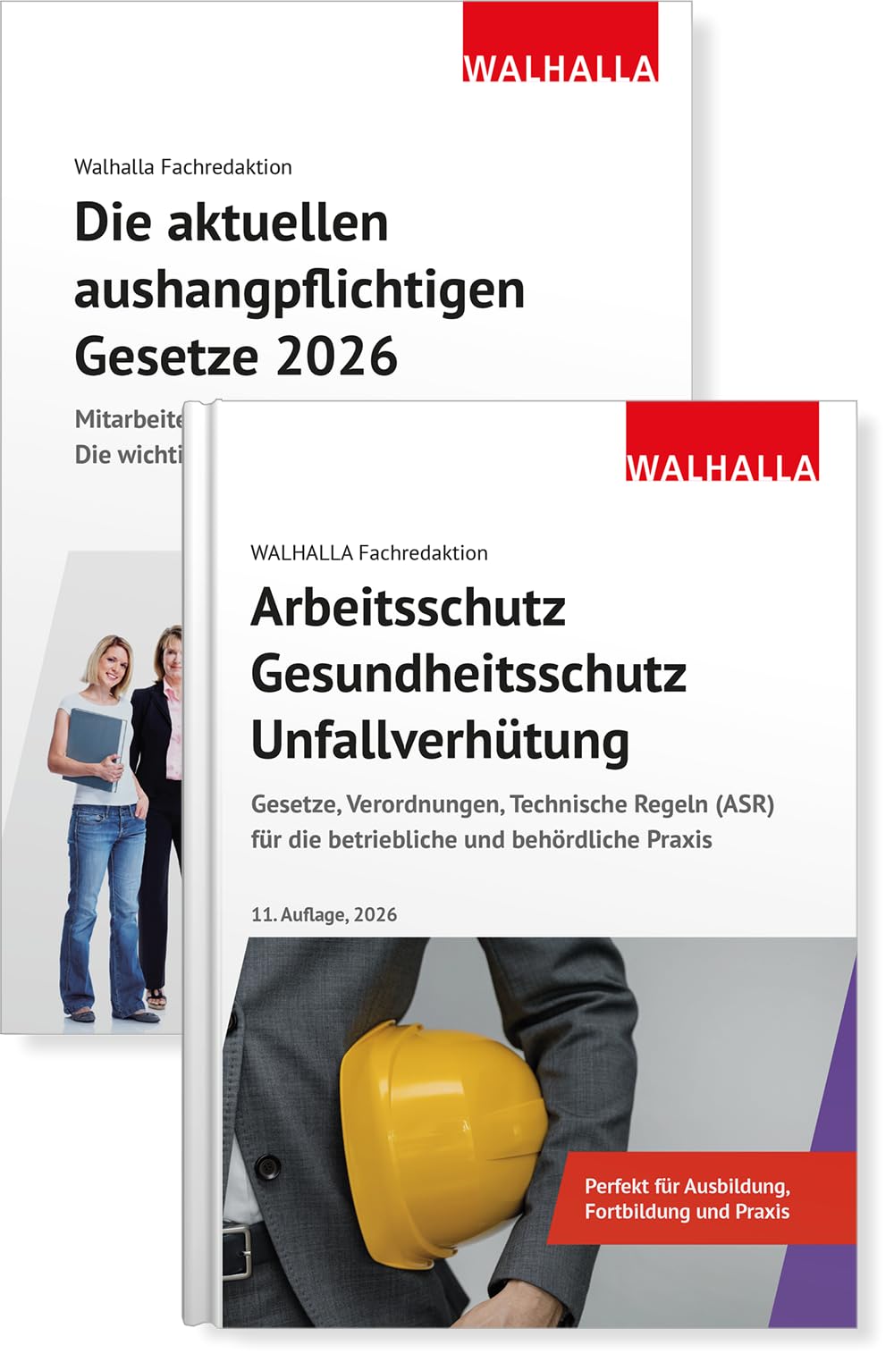 Kombi-Paket Die aktuellen aushangpflichtigen Gesetze + Arbeitsschutz, Gesundheitsschutz, Unfallverhütung 2026 Law