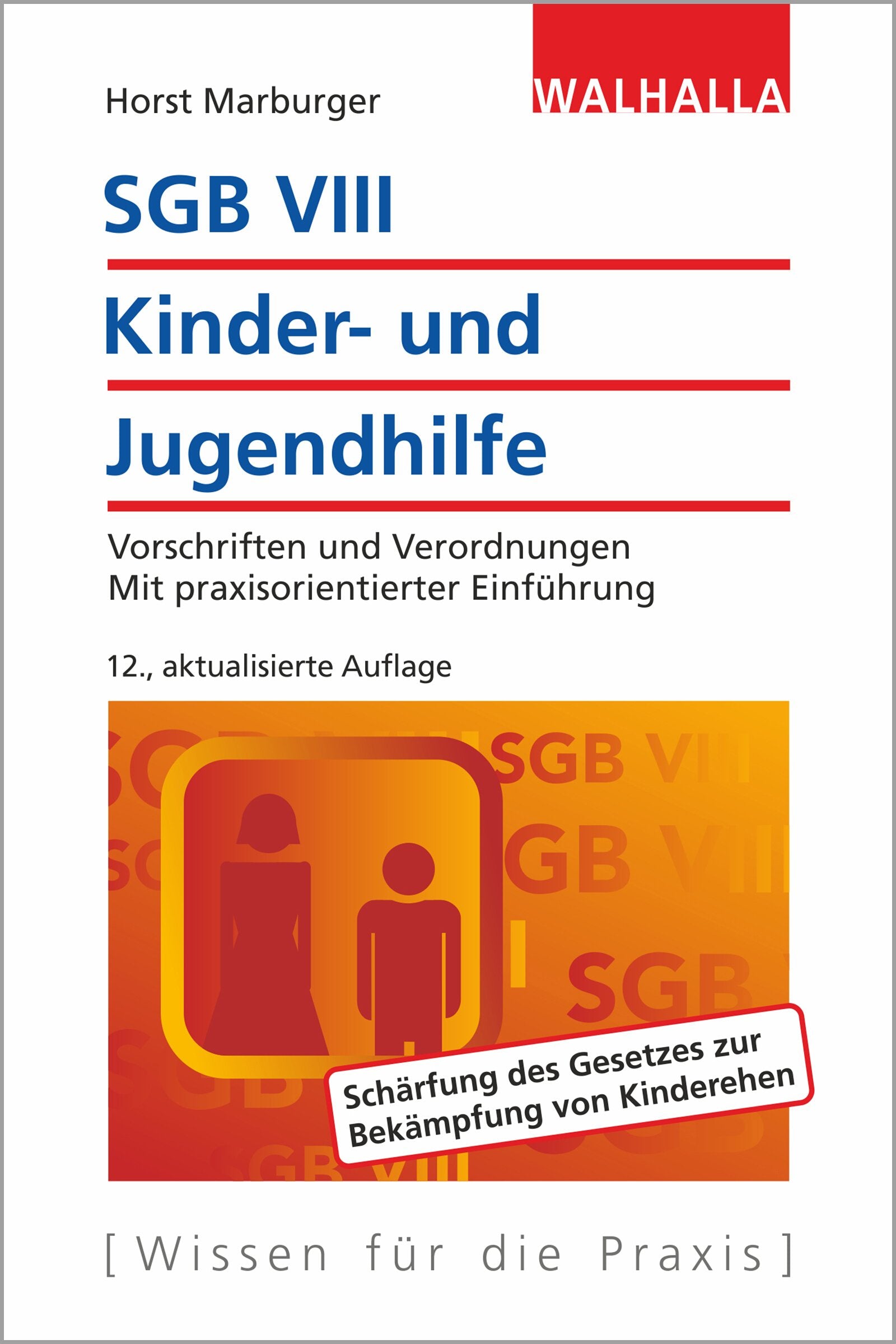 SGB VIII - Kinder- und Jugendhilfe Law