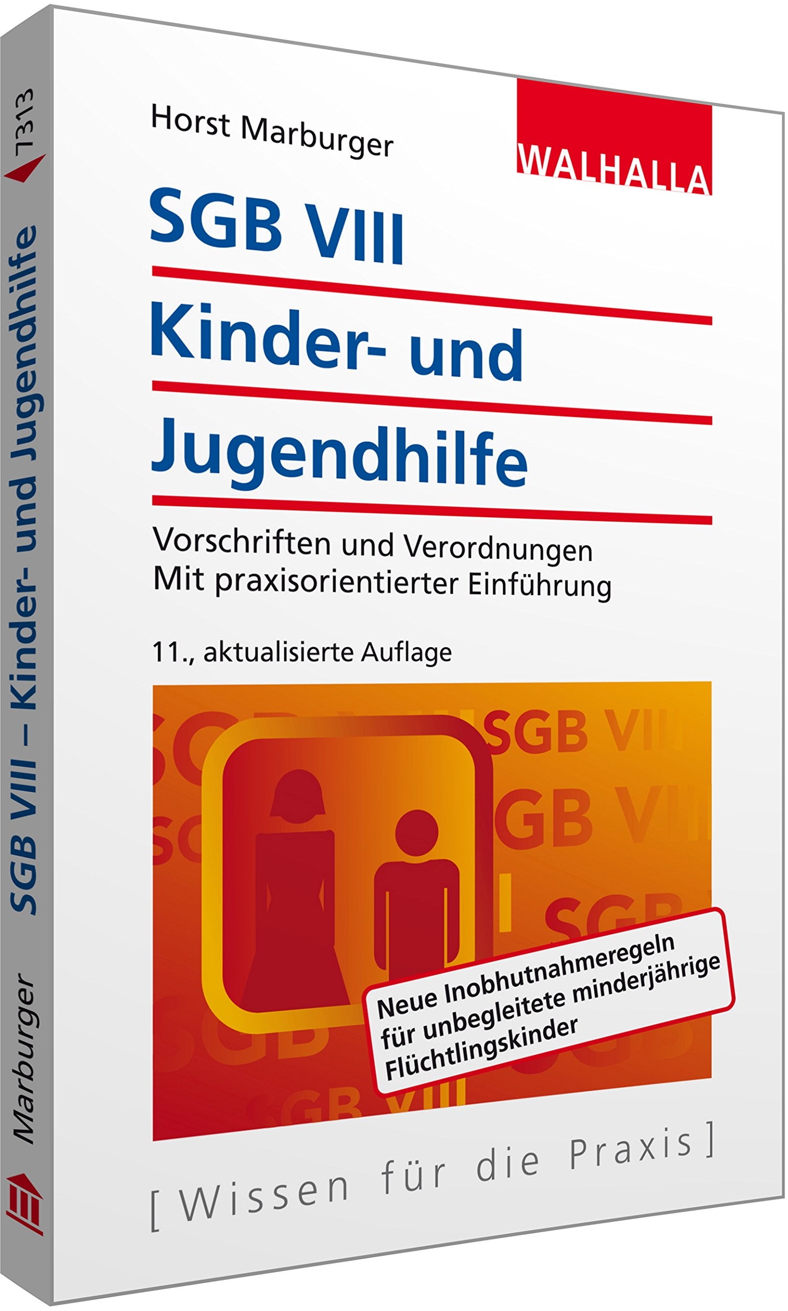 SGB VIII - Kinder- und Jugendhilfe Law