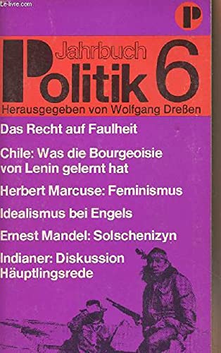 Product Image: Jahrbuch Politik VI