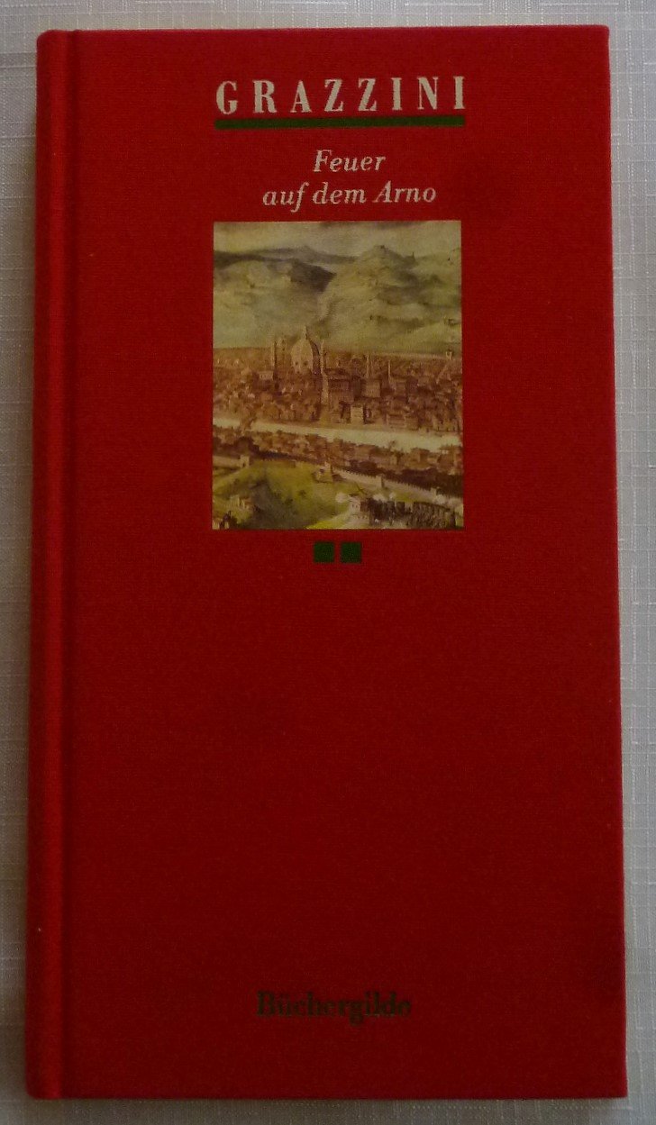 Feuer auf dem Arno: Renaissancenovellen aus Florenz (Salto) Fiction