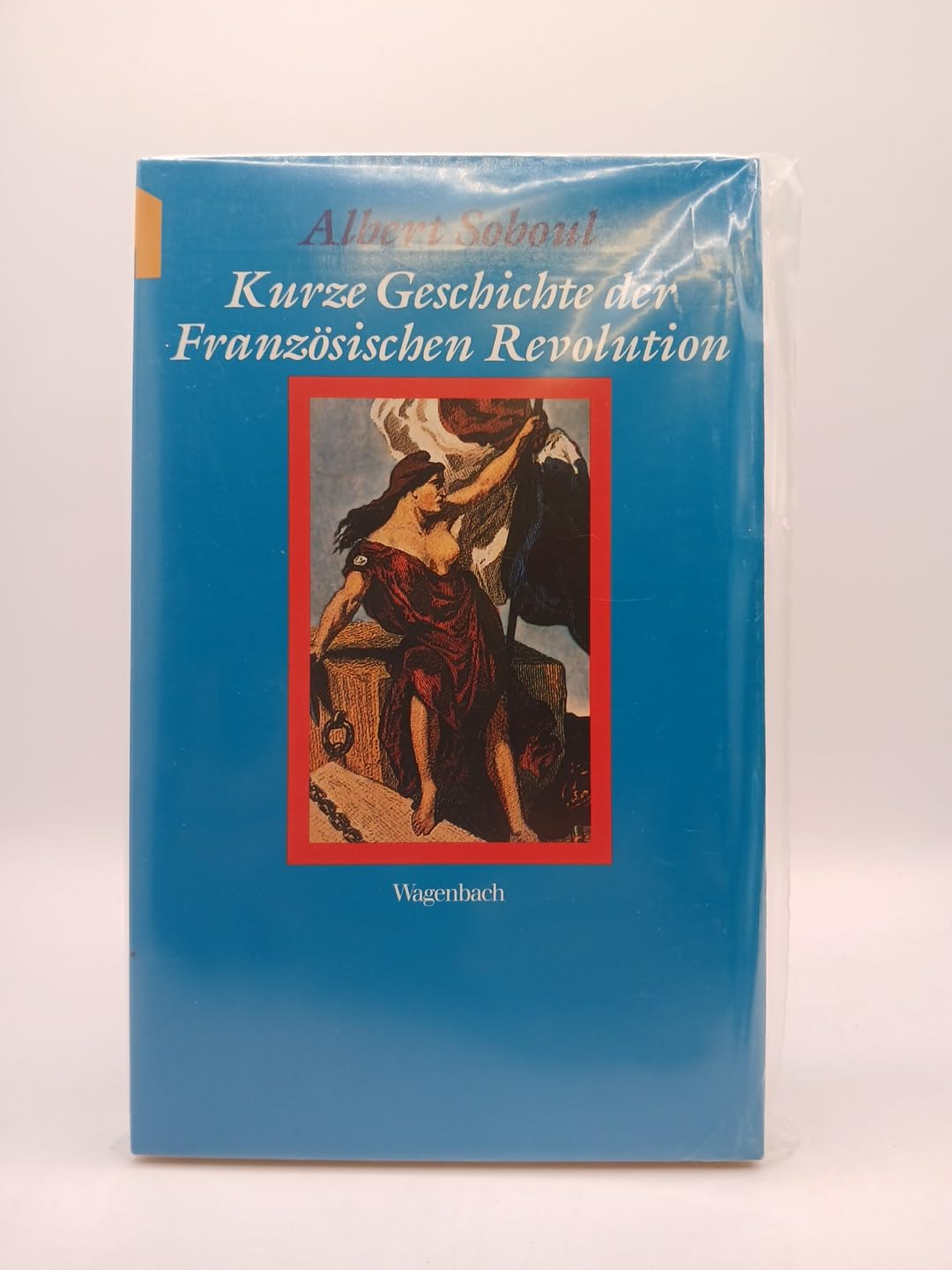 Kurze Geschichte der Französischen Revolution Politics & History