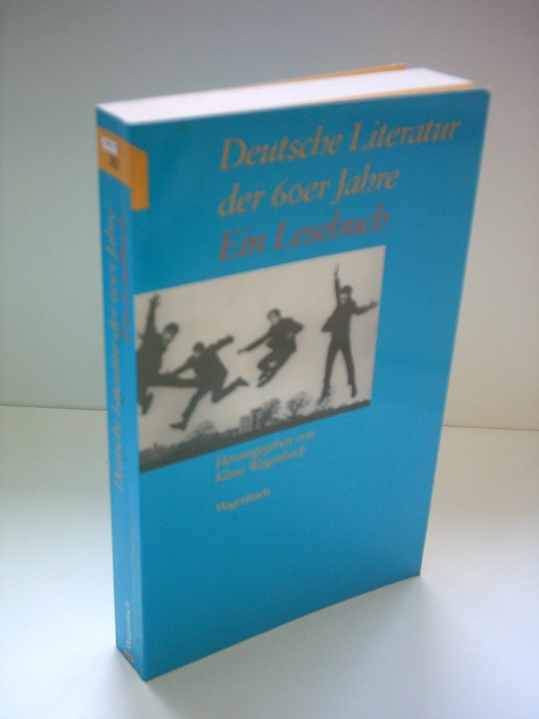 Deutsche Literatur der sechziger Jahre Books