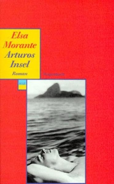 Arturos Insel: Roman (Wagenbachs andere Taschenbücher) Contemporary literature