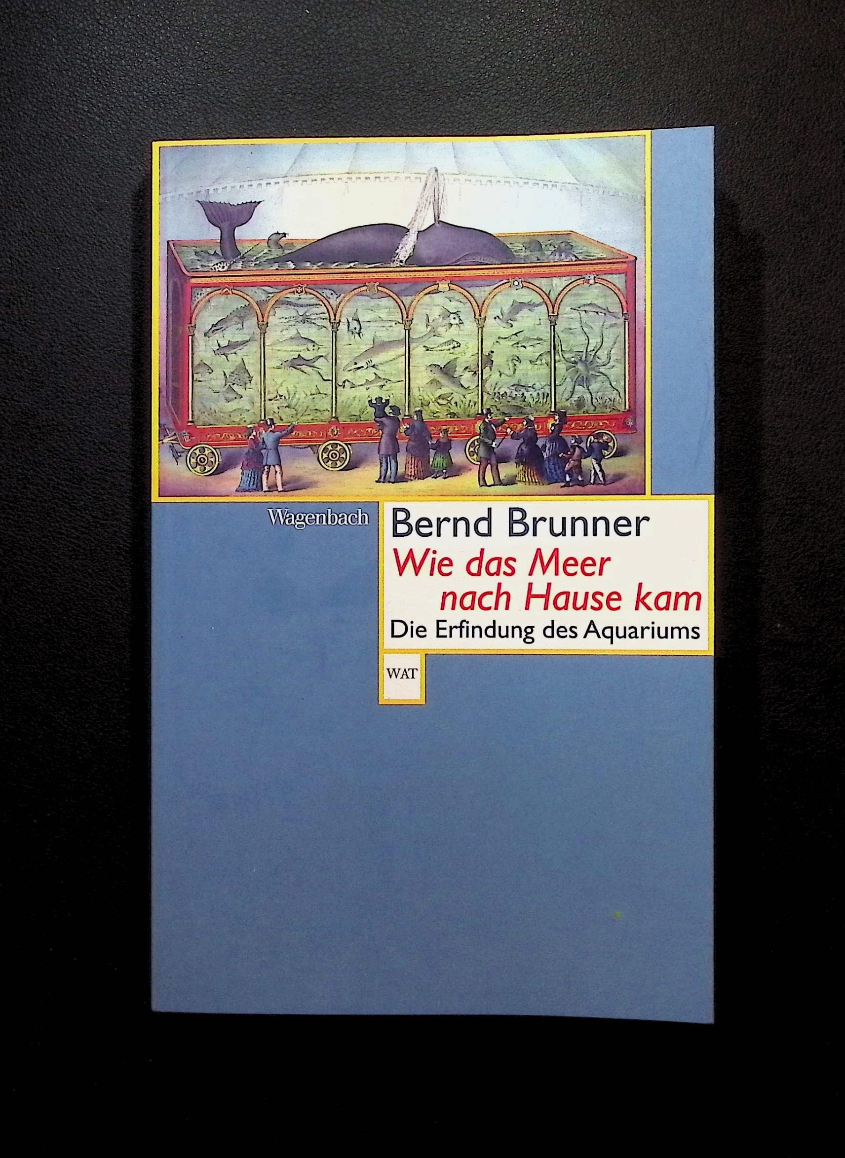 Wie das Meer nach Hause kam Books
