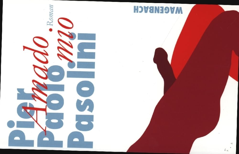 Amado mio: Roman (Wagenbachs andere Taschenbücher) Social Sciences